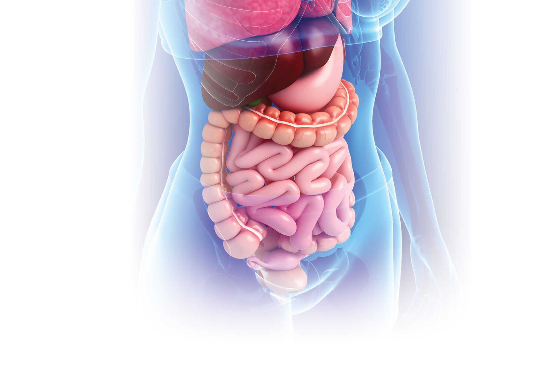 gastro-intestinal-triumpharma